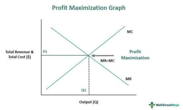 Maximizing Profits through Effective Marketing​ and ⁤Audience Targeting